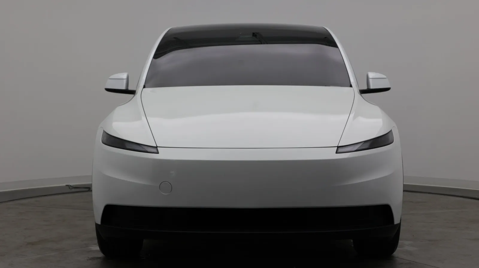 Tesla Model Y photo 2