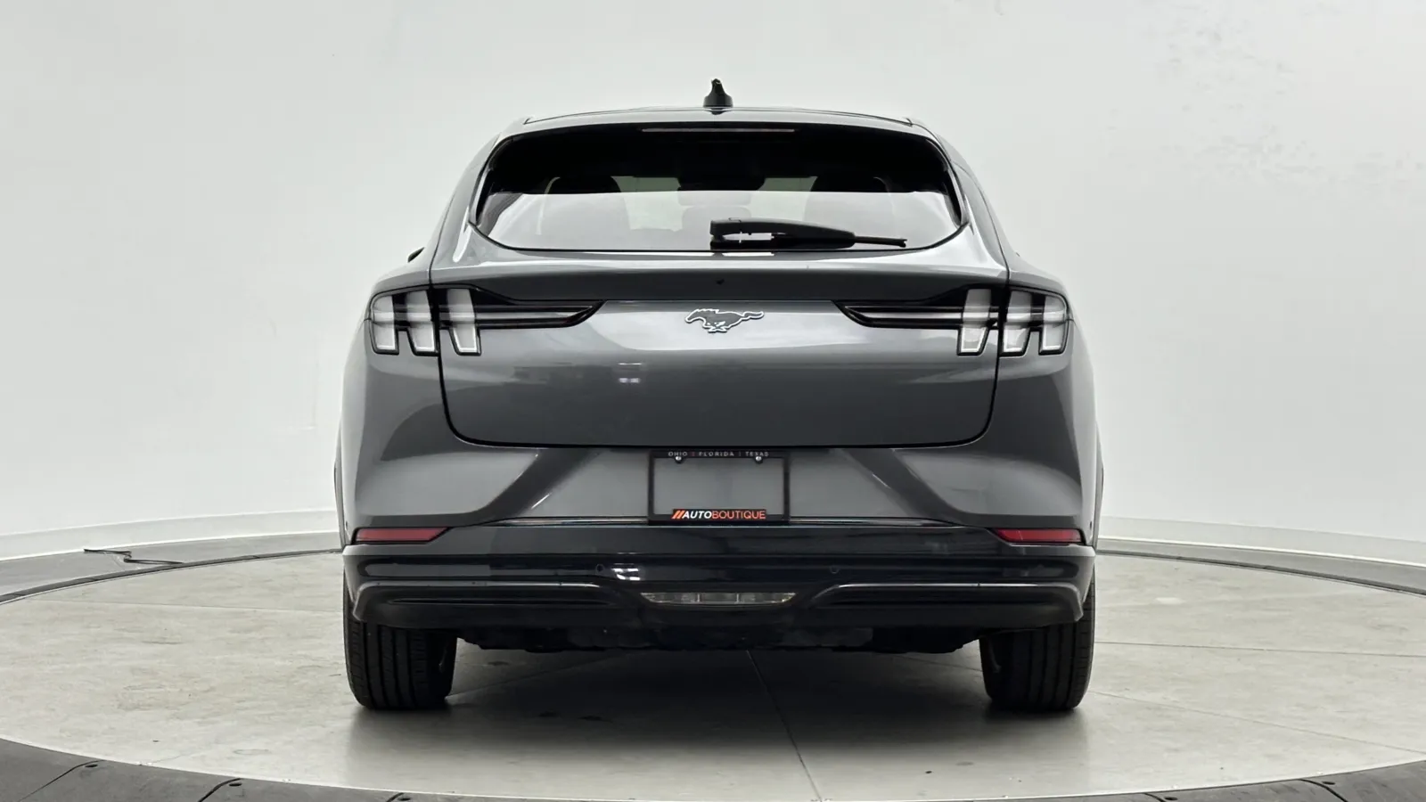 Ford Mustang Mach-E photo 8