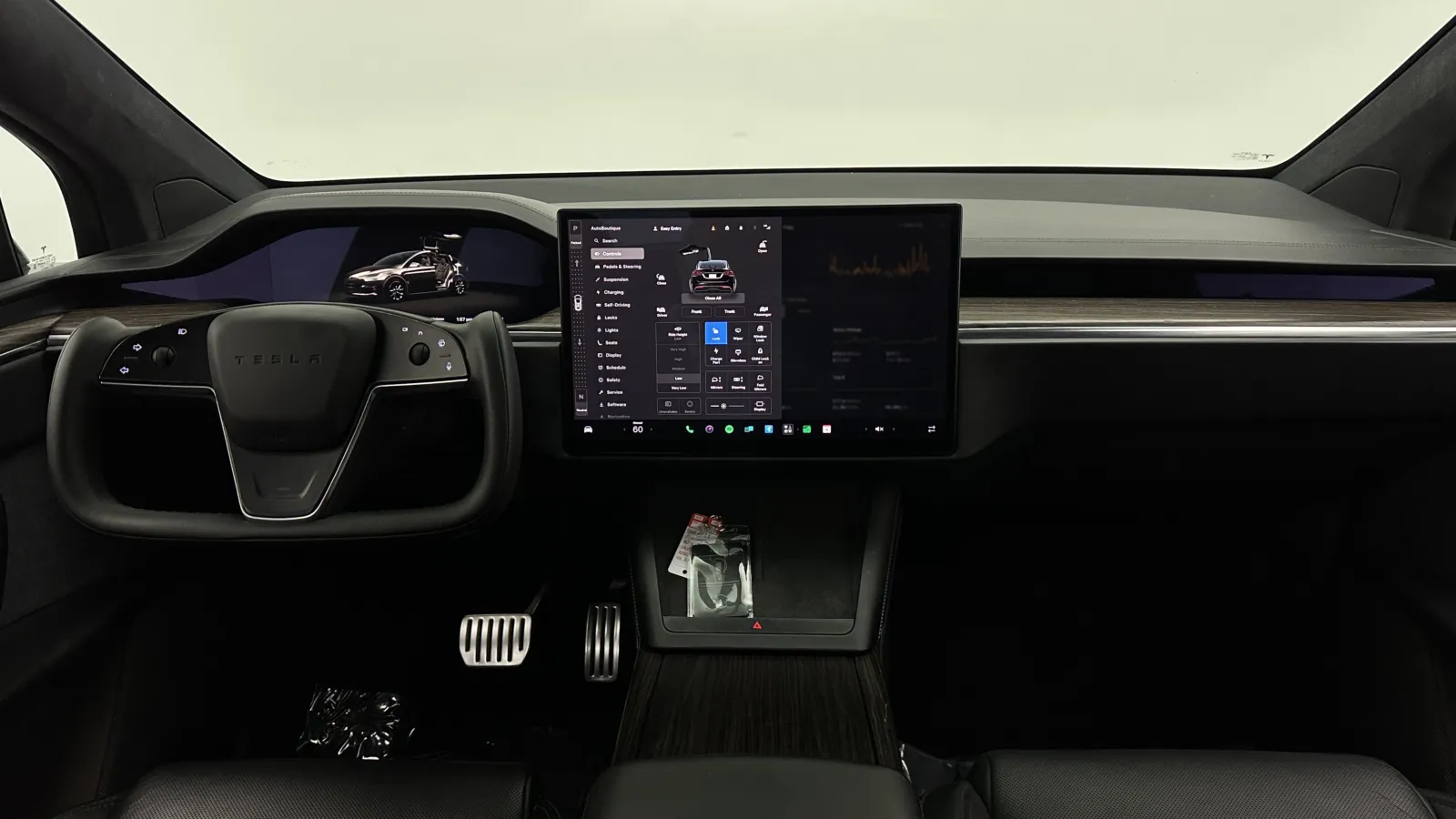 Tesla Model X photo 33