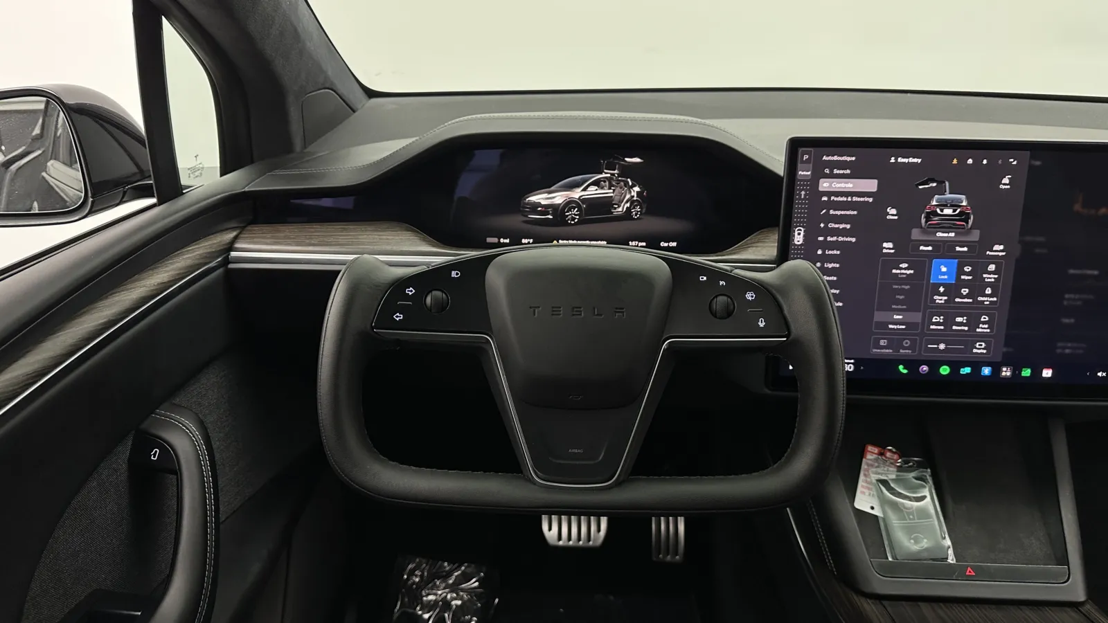 Tesla Model X photo 31