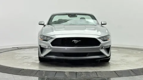 Photos of 2021 Ford Mustang EcoBoost Premium for sale in Jacksonville, FL at Auto Boutique Florida