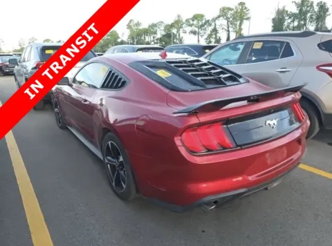 More photos of 2020 Ford Mustang EcoBoost at Auto Boutique Florida, FL