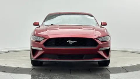 Photos of 2020 Ford Mustang EcoBoost for sale in Jacksonville, FL at Auto Boutique Florida