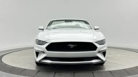 Photos of 2023 Ford Mustang EcoBoost Premium for sale in Jacksonville, FL at Auto Boutique Florida