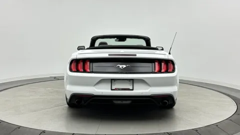 More photos of 2023 Ford Mustang EcoBoost Premium at Auto Boutique Florida, FL