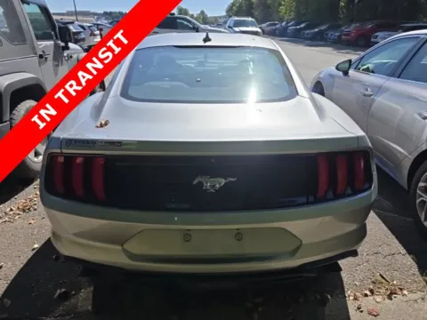 More photos of 2020 Ford Mustang EcoBoost at Auto Boutique Florida, FL