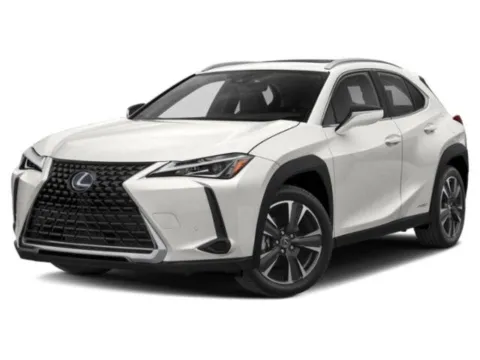 Silver 2020 Lexus UX 250h for sale in Jacksonville, FL