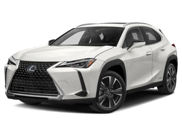 2020 Lexus UX 250h for sale in Jacksonville, FL