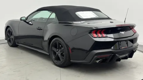 More photos of 2024 Ford Mustang EcoBoost at Auto Boutique Florida, FL