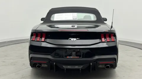 More photos of 2024 Ford Mustang EcoBoost at Auto Boutique Florida, FL