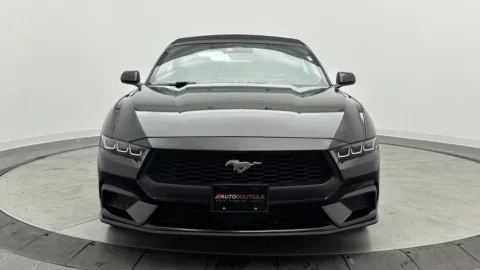 Photos of 2024 Ford Mustang EcoBoost for sale in Jacksonville, FL at Auto Boutique Florida
