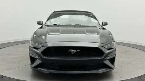 Photos of 2019 Ford Mustang EcoBoost Premium for sale in Jacksonville, FL at Auto Boutique Florida