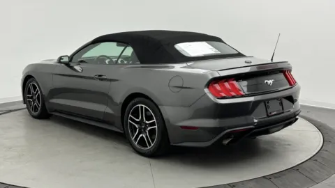 More photos of 2019 Ford Mustang EcoBoost Premium at Auto Boutique Florida, FL