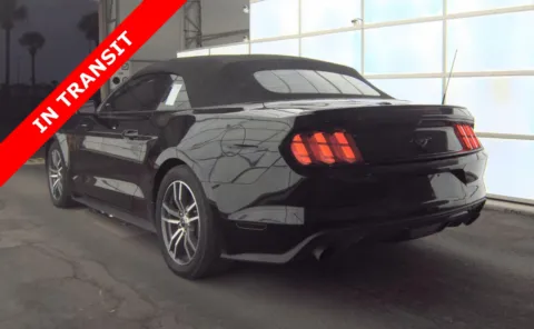 More photos of 2016 Ford Mustang EcoBoost Premium at Auto Boutique Florida, FL