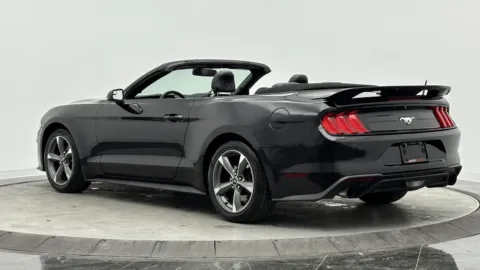 More photos of 2020 Ford Mustang EcoBoost Premium at Auto Boutique Florida, FL