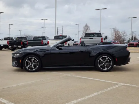 More photos of 2024 Ford Mustang EcoBoost Premium at Jim Norton Chevrolet, OK