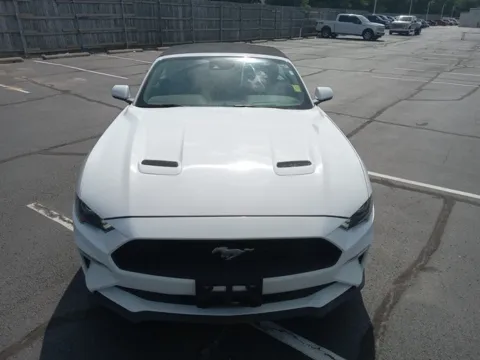 Photos of 2022 Ford Mustang EcoBoost Premium for sale in Broken Arrow, OK at Jim Norton Ford