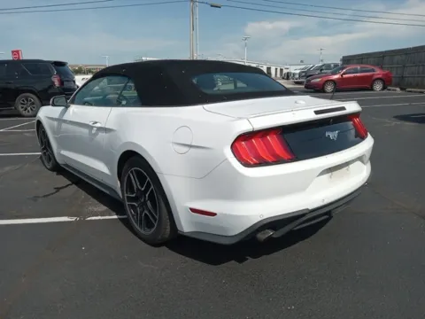 More photos of 2022 Ford Mustang EcoBoost Premium at Jim Norton Ford, OK