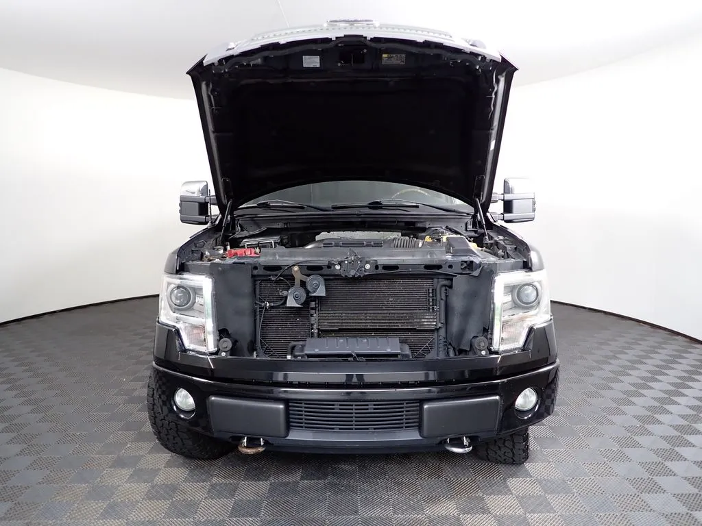 Ford F-150 photo 46