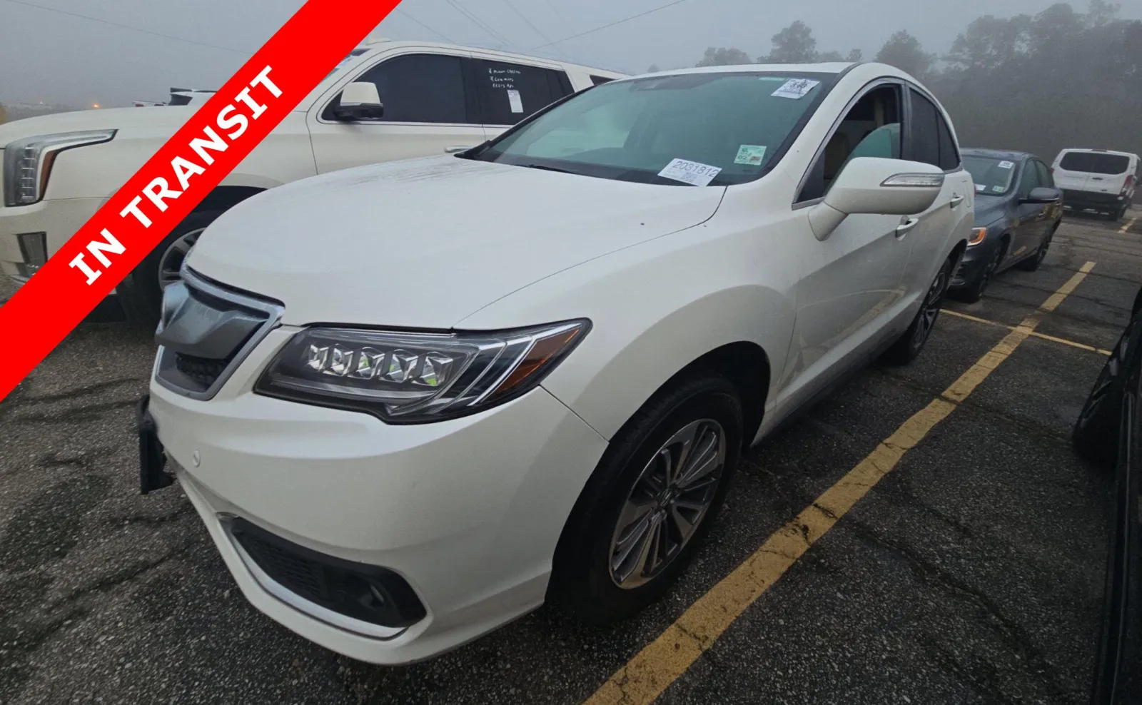 White 2016 Acura RDX Advance Pkg for sale in Alvin, TX