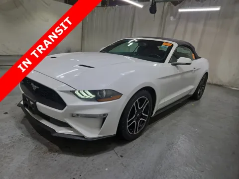 White 2019 Ford Mustang EcoBoost Premium for sale in Alvin, TX