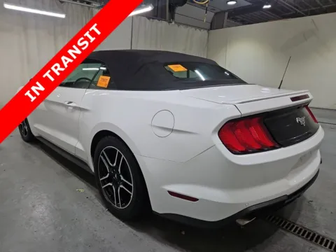 Another view of 2019 Ford Mustang EcoBoost Premium for sale in Alvin, TX at Auto Boutique Texas