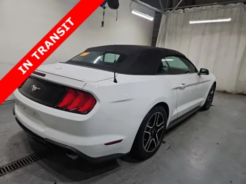 More photos of 2019 Ford Mustang EcoBoost Premium at Auto Boutique Texas, TX