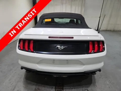 More photos of 2019 Ford Mustang EcoBoost Premium at Auto Boutique Texas, TX