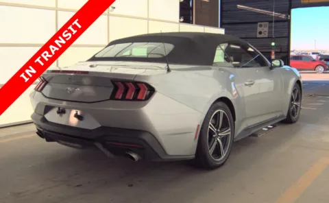 More photos of 2024 Ford Mustang EcoBoost at Auto Boutique Texas, TX