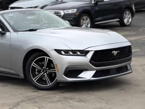 More photos of 2024 Ford Mustang EcoBoost at Auto Boutique Texas, TX