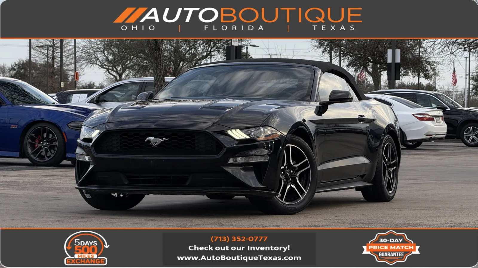 Black 2020 Ford Mustang EcoBoost Premium for sale in Alvin, TX
