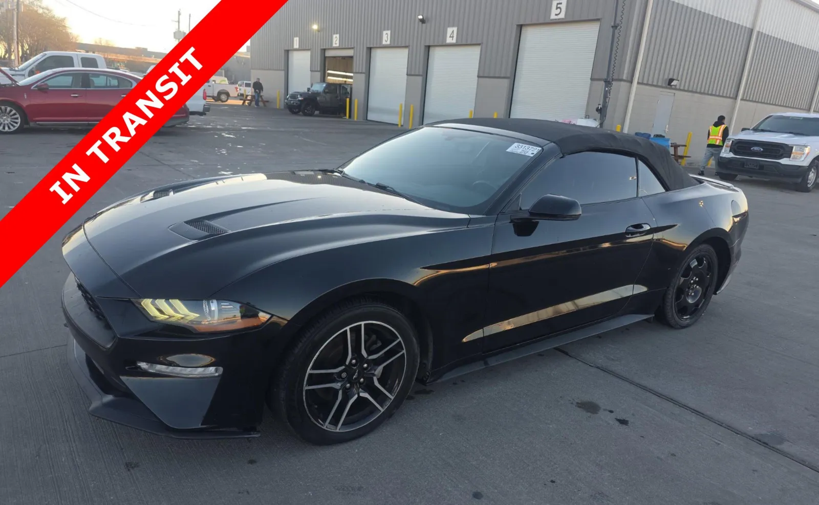 Black 2020 Ford Mustang EcoBoost Premium for sale in Alvin, TX