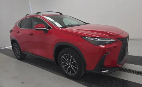 Red 2023 Lexus NX 250 for sale in Alvin, TX