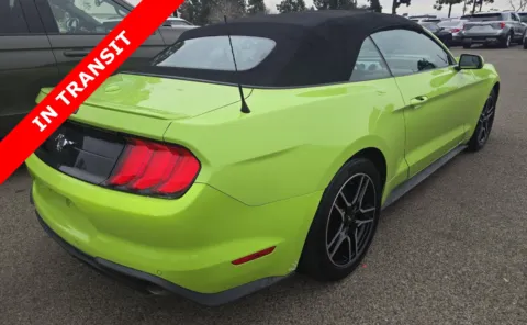 Another view of 2020 Ford Mustang EcoBoost Premium for sale in Alvin, TX at Auto Boutique Texas