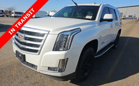 White 2017 Cadillac Escalade Luxury for sale in Alvin, TX