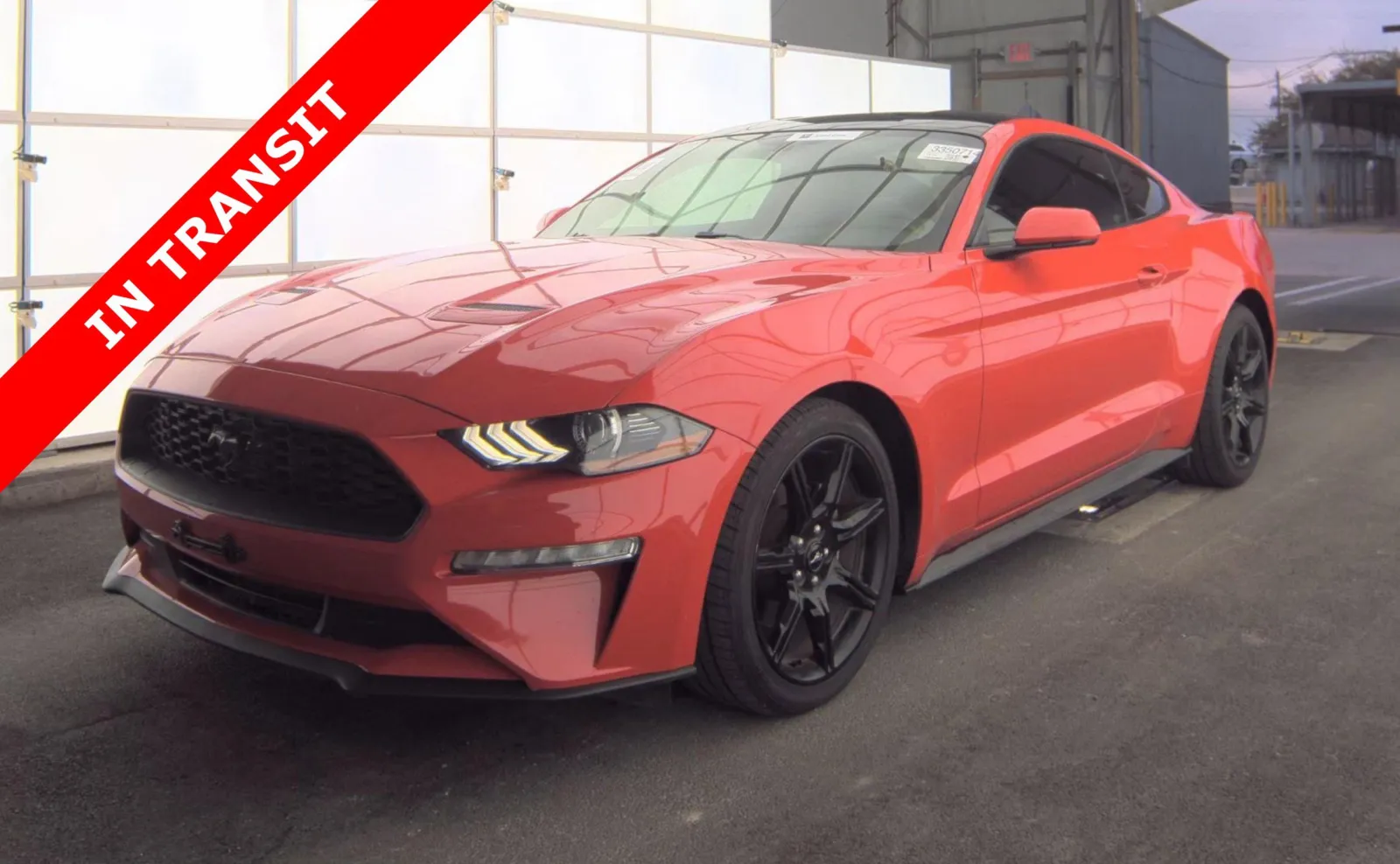 Red 2019 Ford Mustang EcoBoost for sale in Alvin, TX