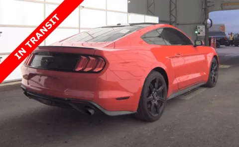 More photos of 2019 Ford Mustang EcoBoost at Auto Boutique Texas, TX