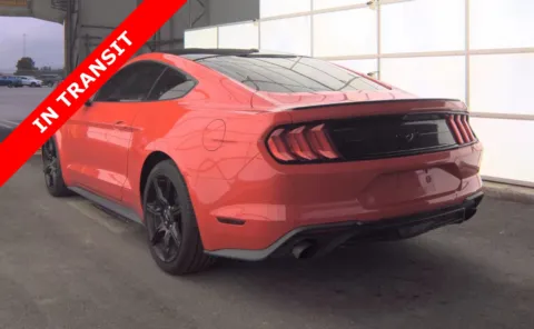 More photos of 2019 Ford Mustang EcoBoost at Auto Boutique Texas, TX