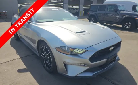 Silver 2020 Ford Mustang EcoBoost Premium for sale in Alvin, TX