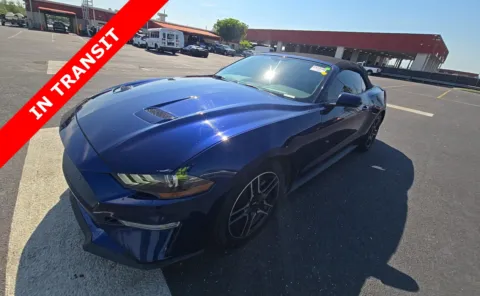 Blue 2019 Ford Mustang EcoBoost Premium for sale in Alvin, TX
