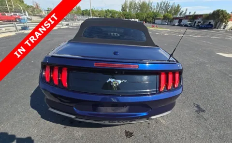 More photos of 2019 Ford Mustang EcoBoost Premium at Auto Boutique Texas, TX