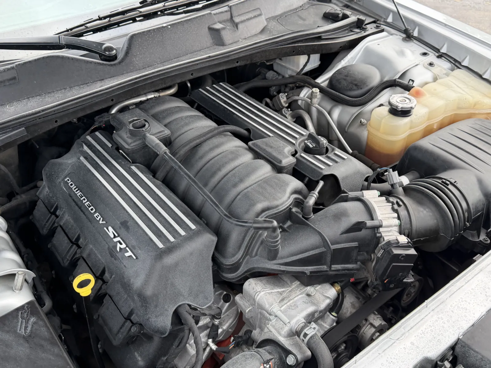 Dodge Challenger photo 10
