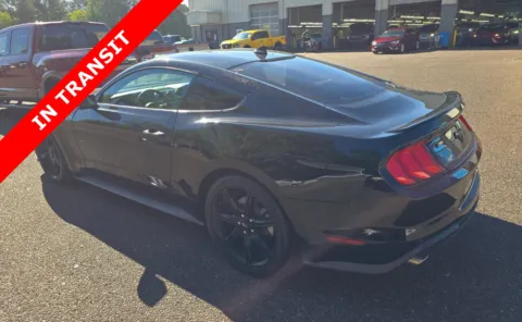 More photos of 2020 Ford Mustang EcoBoost at Auto Boutique Texas, TX