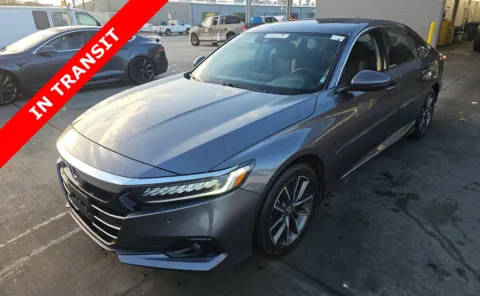 Gray 2021 Honda Accord Sedan EX-L for sale in Alvin, TX