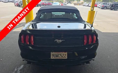 More photos of 2023 Ford Mustang EcoBoost Premium at Auto Boutique Texas, TX
