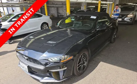 Black 2023 Ford Mustang EcoBoost Premium for sale in Alvin, TX