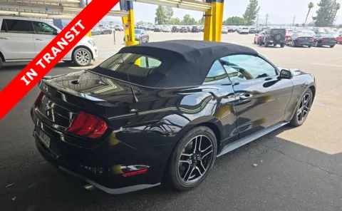 More photos of 2023 Ford Mustang EcoBoost Premium at Auto Boutique Texas, TX
