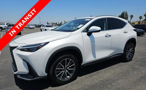 White 2024 Lexus NX 350h Premium for sale in Alvin, TX