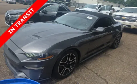 Gray 2020 Ford Mustang EcoBoost Premium for sale in Alvin, TX