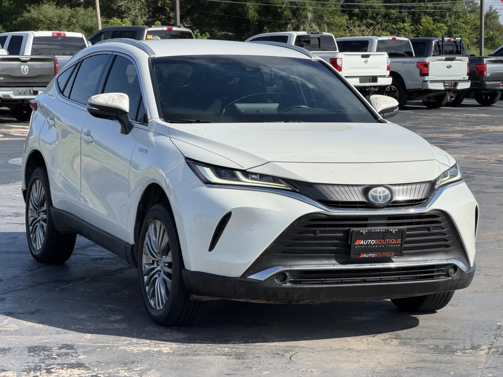 Toyota Venza photo 2